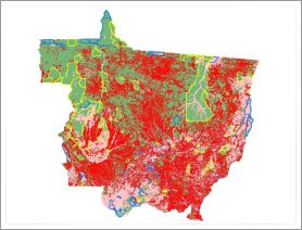 Dinâmica do desmatamento